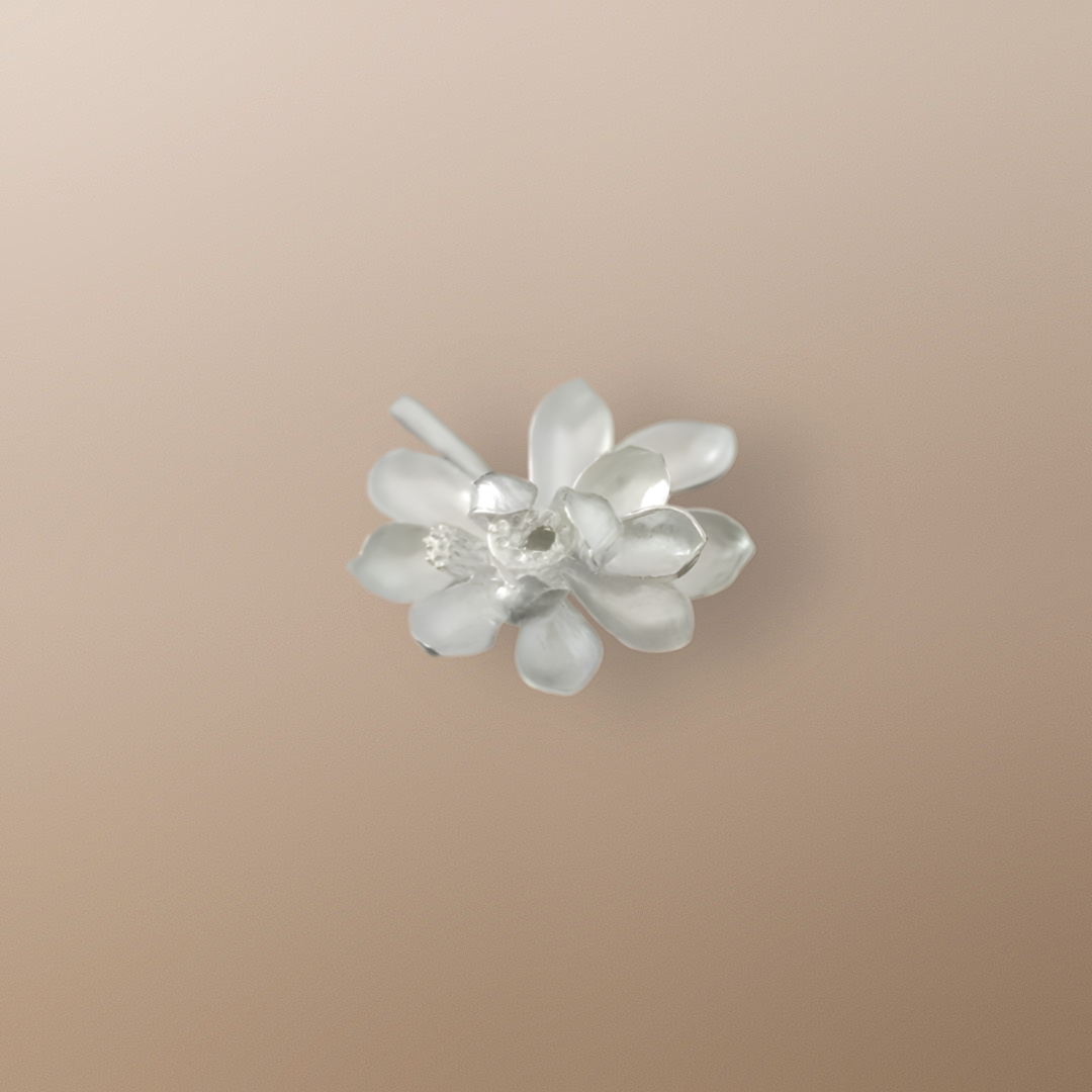 Gift Season FLASH Deal