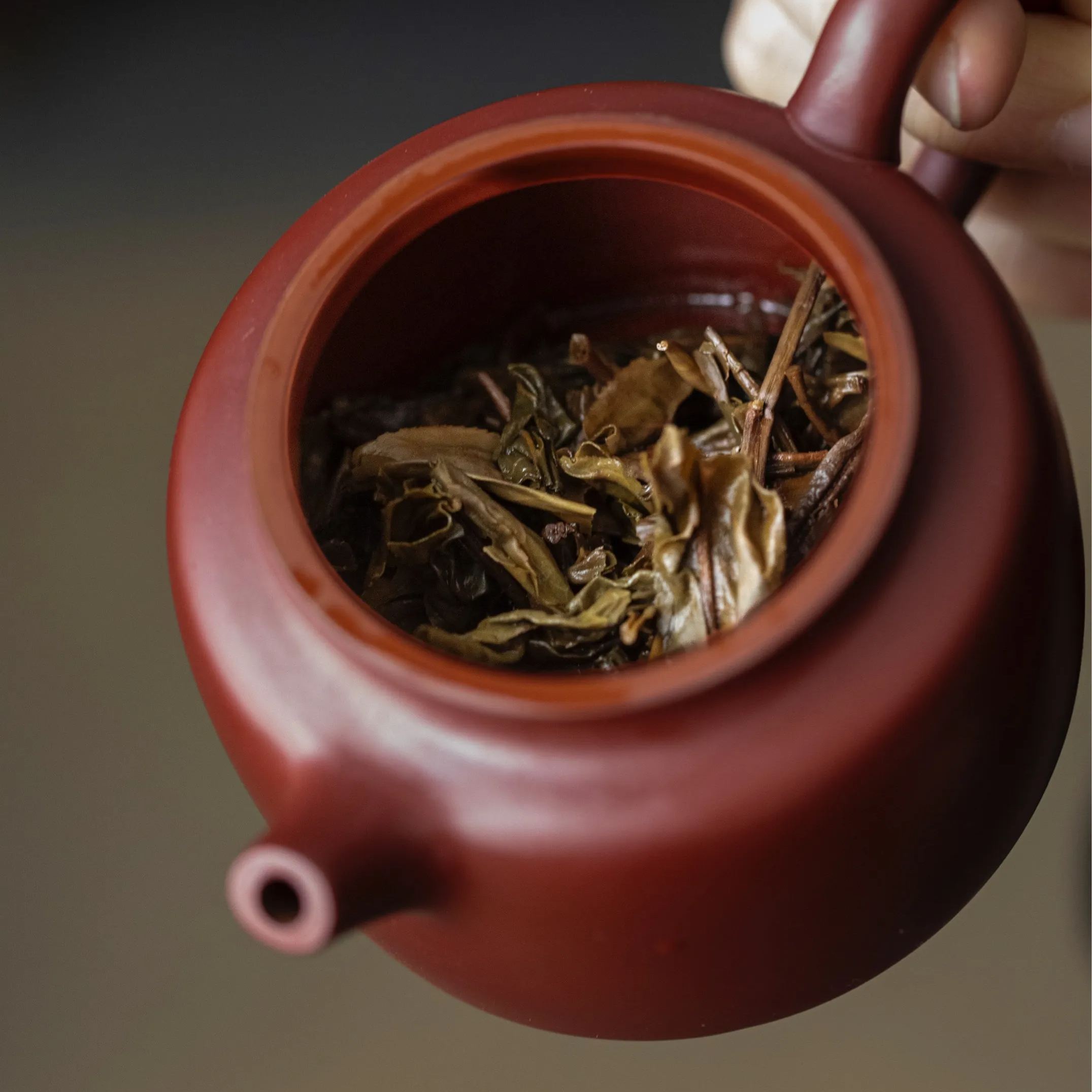 Buy 1 Get 1 FreeSummer SALE 